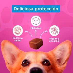 Antipulga Masticable Proteggo 1M para Perros de 10 - 20 kg