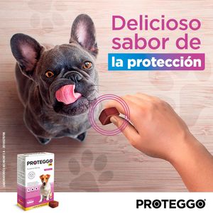 Pack x2 Antipulga Proteggo 3M para Perros de 4.5 - 10 kg