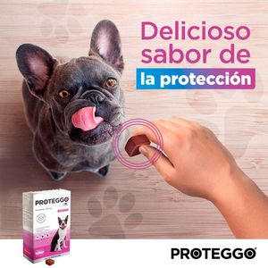 Antipulga Masticable Proteggo 1M para Perros de 4.5 - 10 kg
