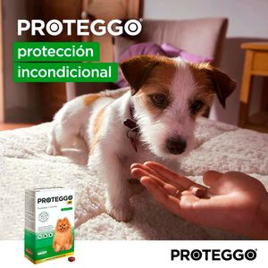Pack x2 Antipulga Proteggo 3M para Perros de 2 - 4.5 kg