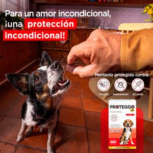 Pack x2 Antipulga Proteggo 3M para Perros de 10 - 20 kg
