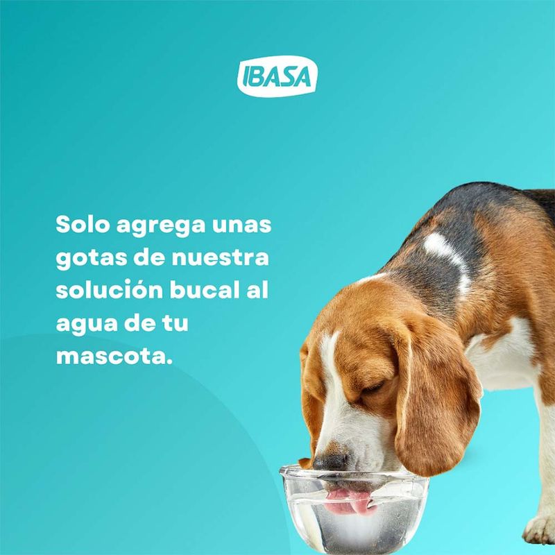 image-2d7cfa893bff4f298bc74a97312786f8
