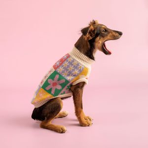 Chaleco Tejido para Mascota con Diseño