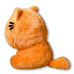 imageUrl_2