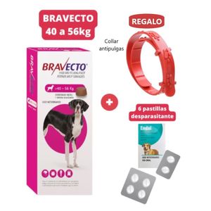 Antipulgas Bravecto para perros de 40 - 56 kg + Collar Antipulgas Graduable Para Mascotas