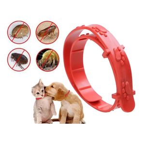 Antipulgas Bravecto para perros de 2 a 4.5 kg + Collar Antipulgas Graduable Para Mascotas