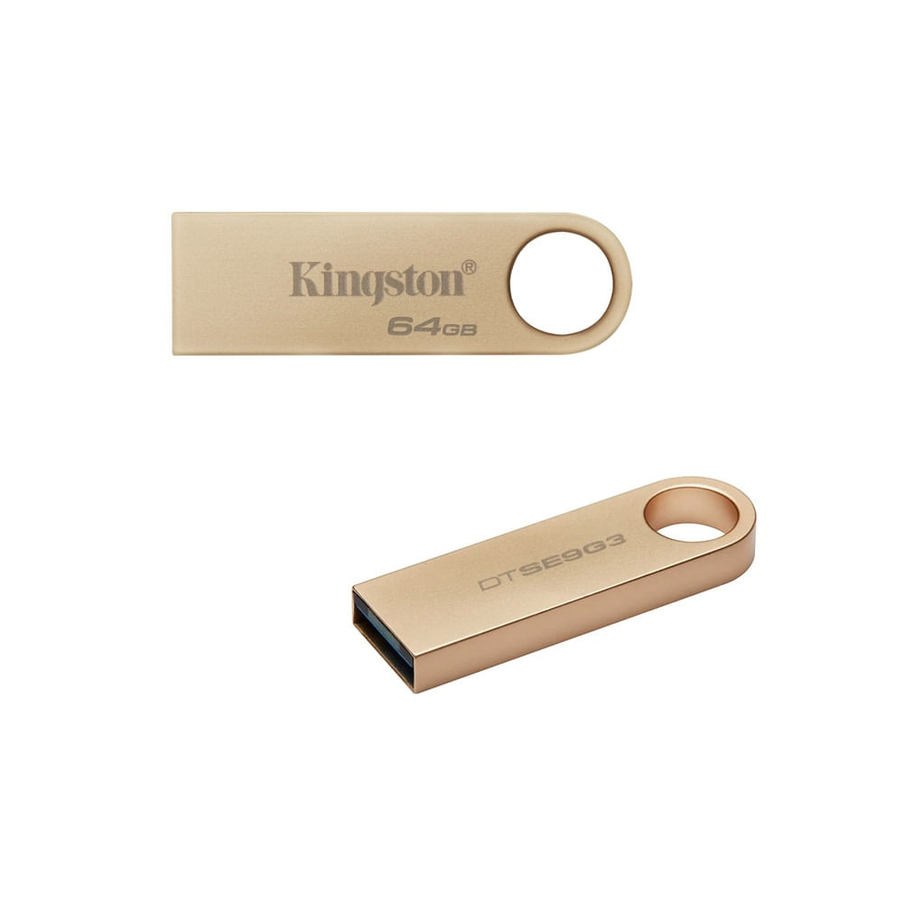 Acquista Kingston Technology DataTraveler 64 GB 220MB/s chiavetta