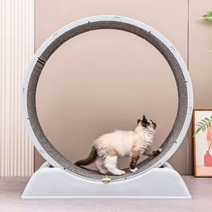 Rueda Giratoria de Ejercicio Para Gatos