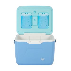 Cooler Snowbox 10.5 litros Reyplast