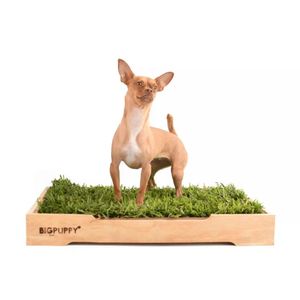 Sanitario Natural  Big Puppy premium M