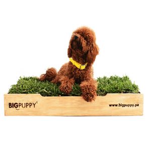 Sanitario Natural  Big Puppy premium L