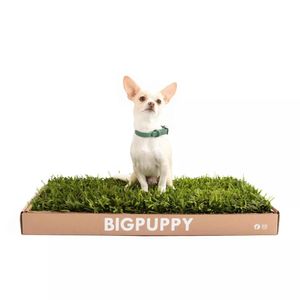 Sanitario Natural Big Puppy  Clásico M