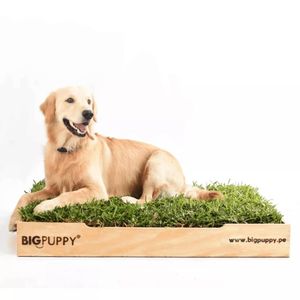 Sanitario Natural  Big Puppy premium XXL