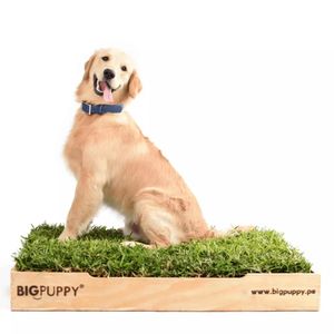 Sanitario Natural  Big Puppy premium XL
