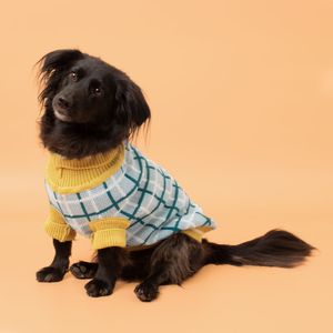 Chaleco Tejido para Mascota con Diseño
