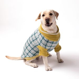 Chaleco Tejido para Mascota con Diseño