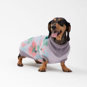 Chaleco Tejido para Mascota con Diseño
