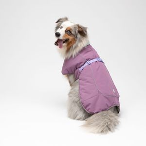 Chaqueta Impermeable para Mascota