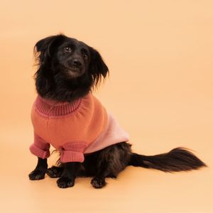 Chaleco Tejido para Mascota con Diseño M