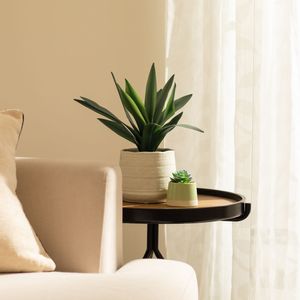 Maceta Cerámica Planta