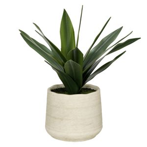 Maceta Cerámica Planta