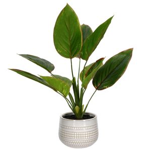 Maceta Cerámica con Planta Decorativa
