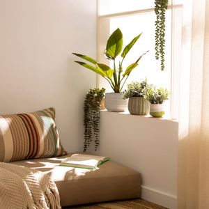 Maceta Cerámica con Planta Decorativa