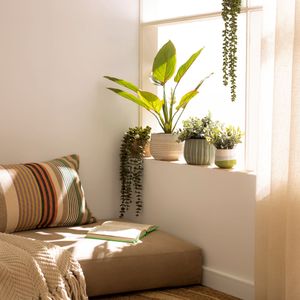 Maceta Cerámica con Planta Decorativa