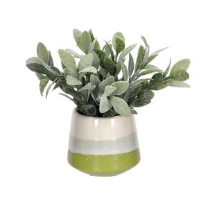 Maceta Cerámica con Planta Decorativa
