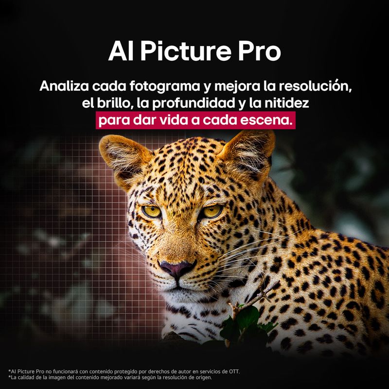 image-5e95a30a2add42da87d5c15778285168