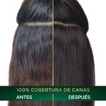 image-8eca451dbeba4bcda2f0ddf795711bd4