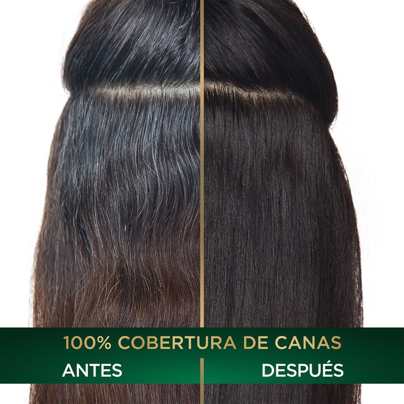 image-8eca451dbeba4bcda2f0ddf795711bd4