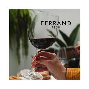 Vino Tinto Dizeres Ferrand 750ml
