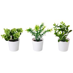 Set de Adornos DECO HOME Plantas Suspiro Romántico 3un