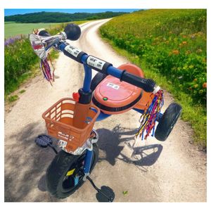 Triciclo Doble Canastilla Niños Infantil Luz Led Azul