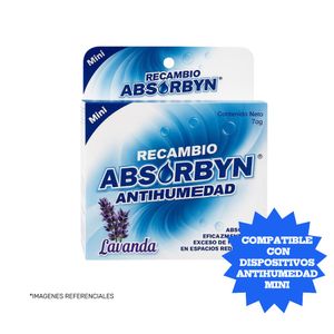 Repuesto Mini Absorbyn Antihumedad Lavanda X 70 GR