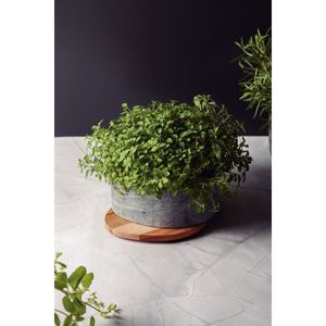 Pote Tramontina Concreta con Tapa de Madera Teca