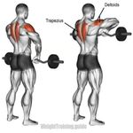 imageUrl_5