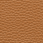 image-4ee607809d3d47c0af9f2ded1a007615
