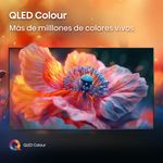 image-d5a2726d4ecc4296b55584bd493b7233