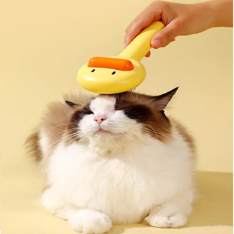 image-b9e1cc21e8af4fd2907b78f4f589ab1e