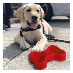 Plato Resistente para Pet Doble Rojo Y+Papel de Regalo