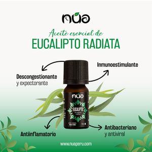 Aceite esencial de eucalipto (Eucalyptus radiata) 100% puro NUA 11 ml