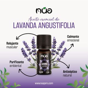 Aceite esencial de lavanda de bulgaria 100% puro NUA 11 ml