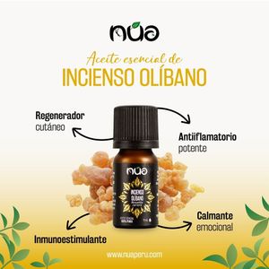 Aceite esencial de incienso de Somalia (B. Casterii) 100% puro NUA 11 ml