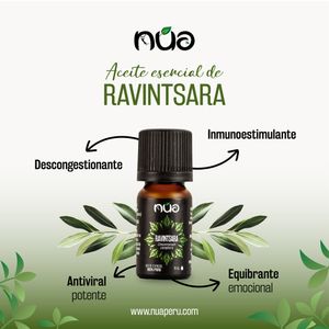Aceite esencial de ravintsara 100% puro NUA 11 ml
