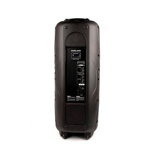 Parlante activo HALION PHA-215A 2UHF mic acdc