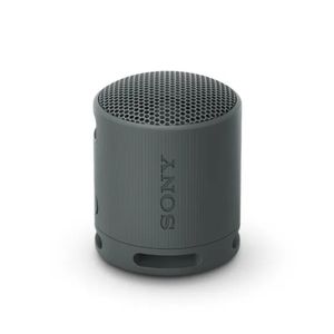 Sony Parlante Bluetooth SRS-XB100 Portátil Waterproof Negro