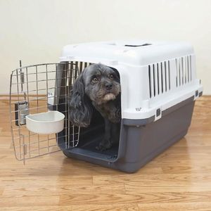Kennel Transportador Para Mascota L50 Raza Pequeña - Talla S