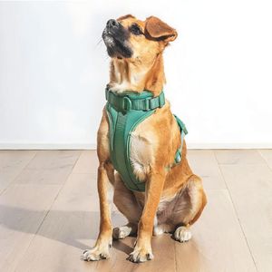 Pechera Para Perros Nailon Ajustable Verde - Talla M